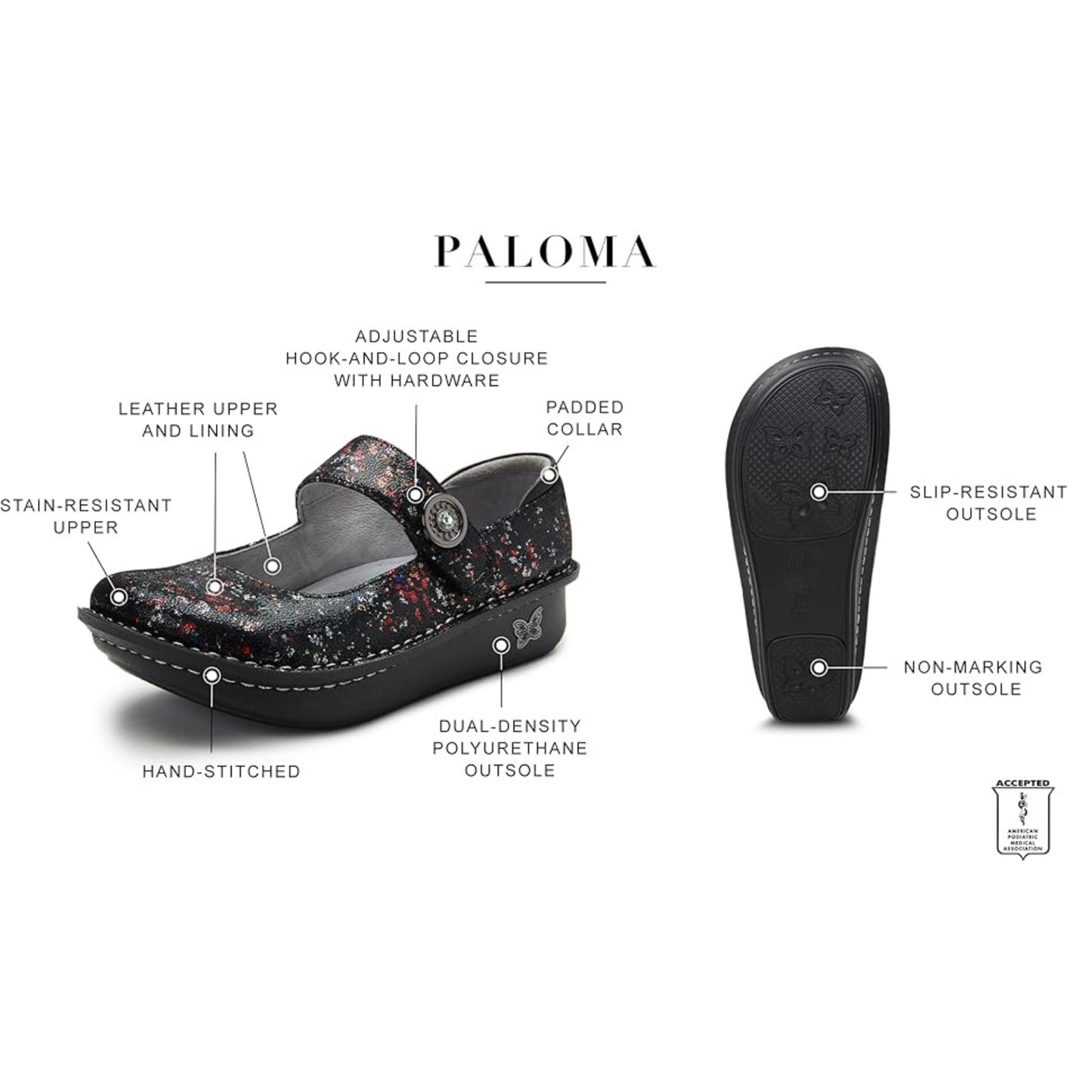 Paloma - Sea Turtle