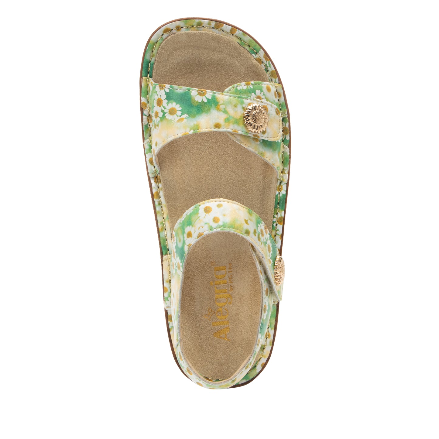 Vienna - Coming Up Daisies (Sample Sale)