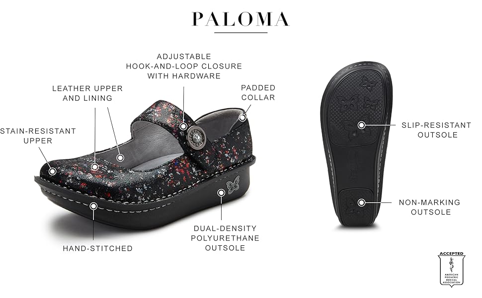 Paloma - Blue Race