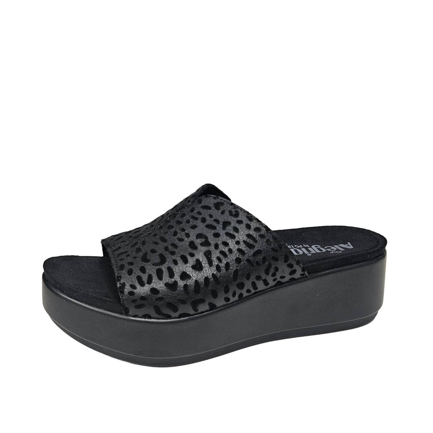 Triniti - Not A Cheetah