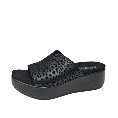 Triniti - Not A Cheetah