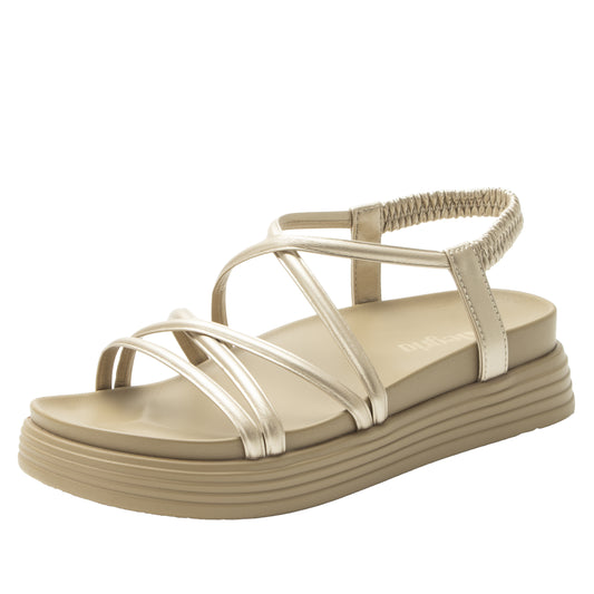 AUDIE (ADE-6507) CHAMPAGNE