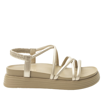 AUDIE (ADE-6507) CHAMPAGNE