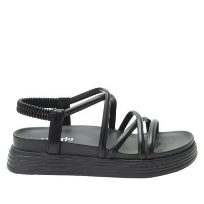 AUDIE (ADE-6516) CAVIAR