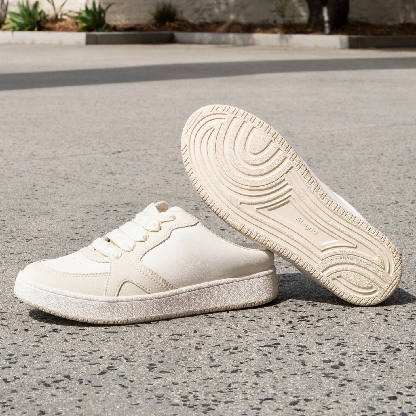 Celeste Vanilla (Sample Sale)