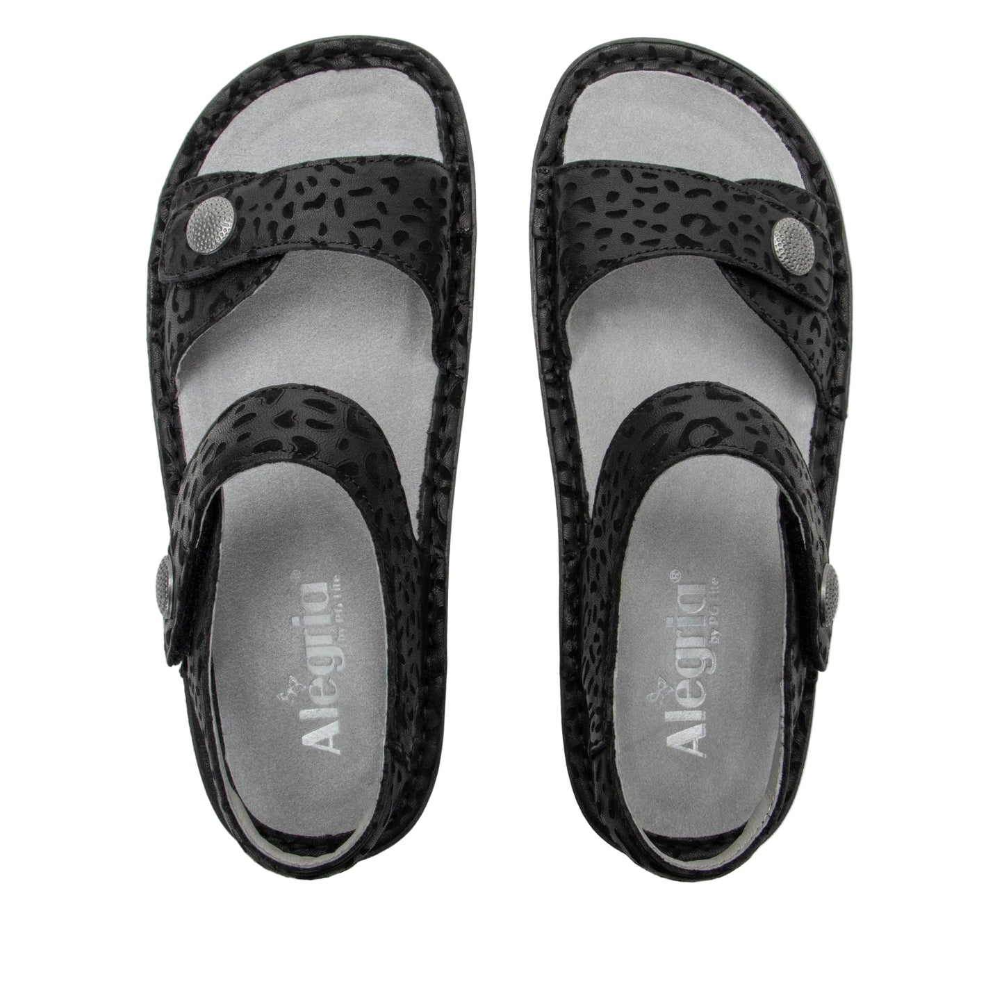 Vienna - Not A Cheetah (VIE-6127)