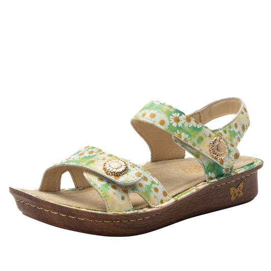 Vienna - Coming Up Daisies (SAMPLE SALE)