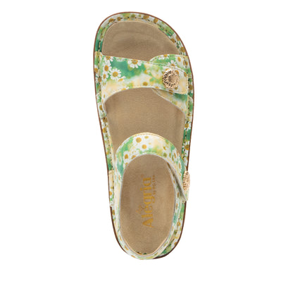 Vienna - Coming Up Daisies (SAMPLE SALE)
