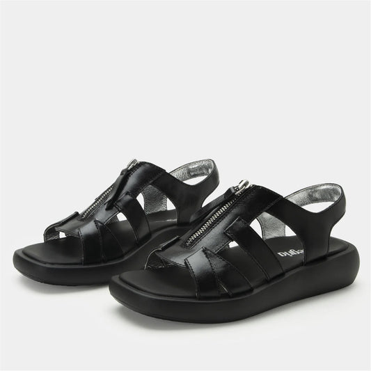 Palmer - Black Sapphire
